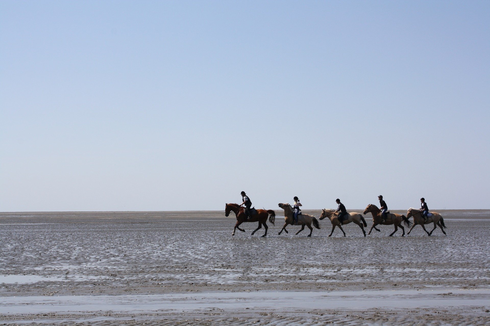 Horseback riding on the beach in group