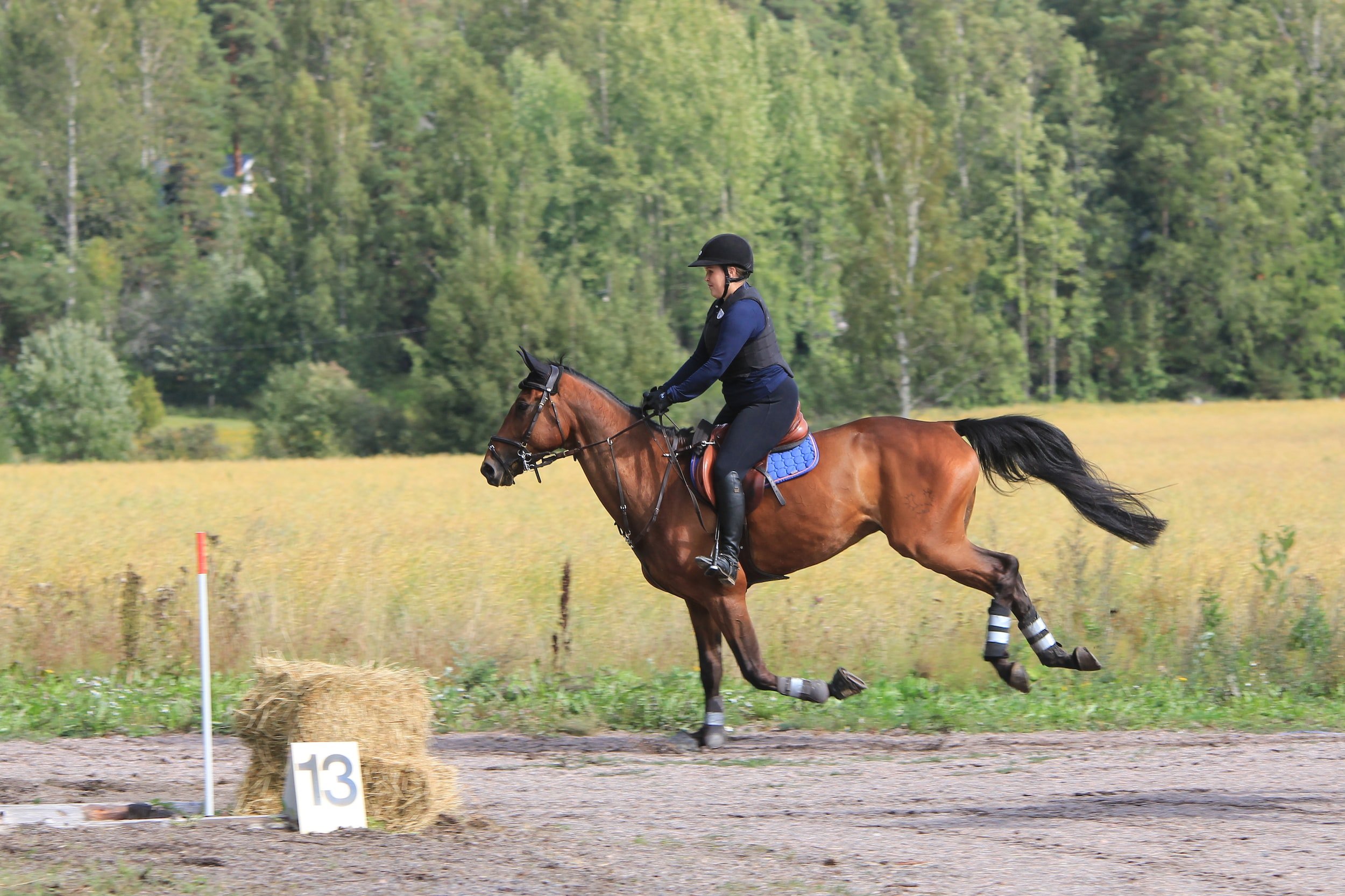 Horseback riding in the forest and paths of an exceptional Château in Ile de France