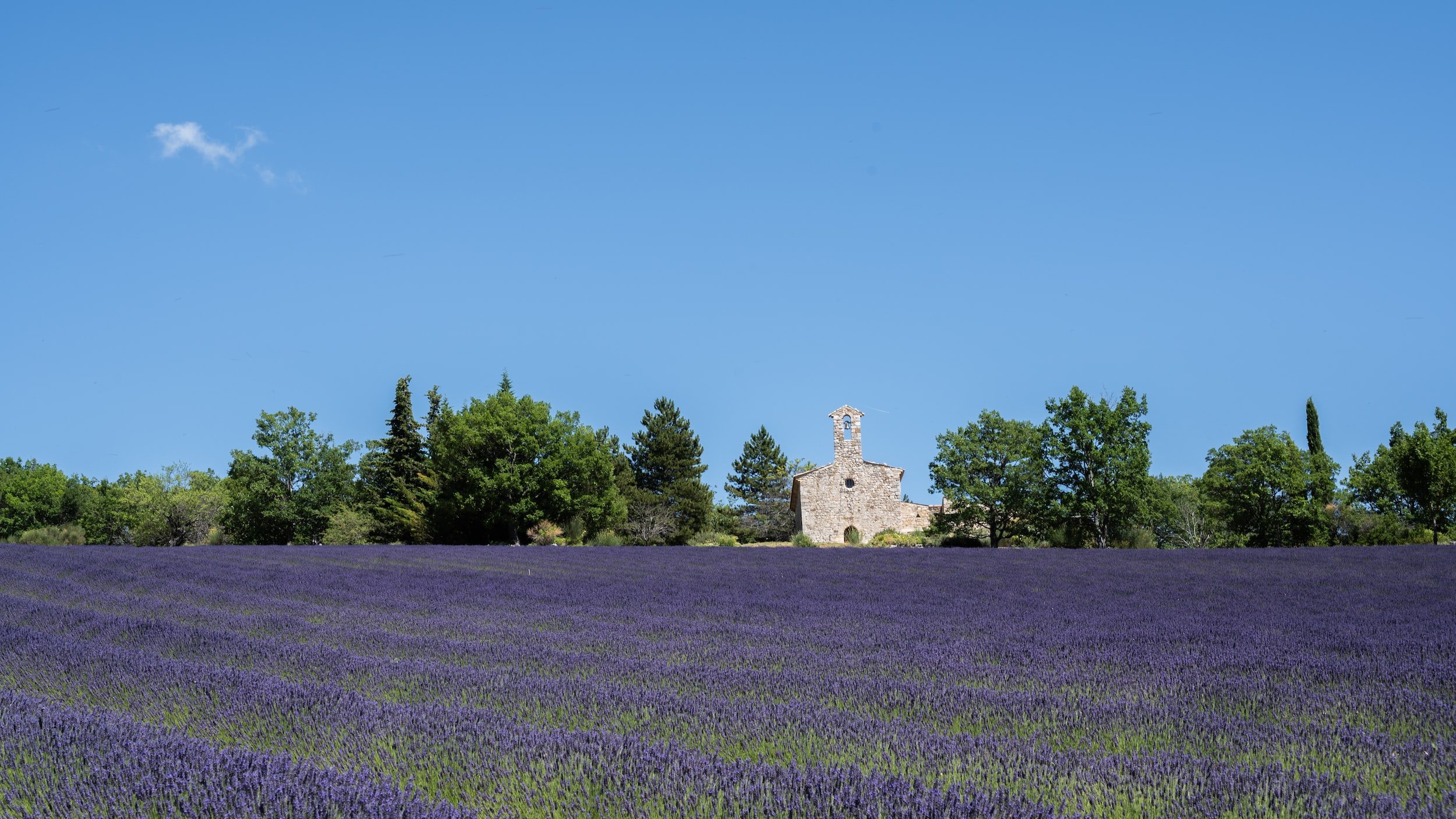 Visit the lavender fields of Provence and the south for group seminars and teambuilding activities