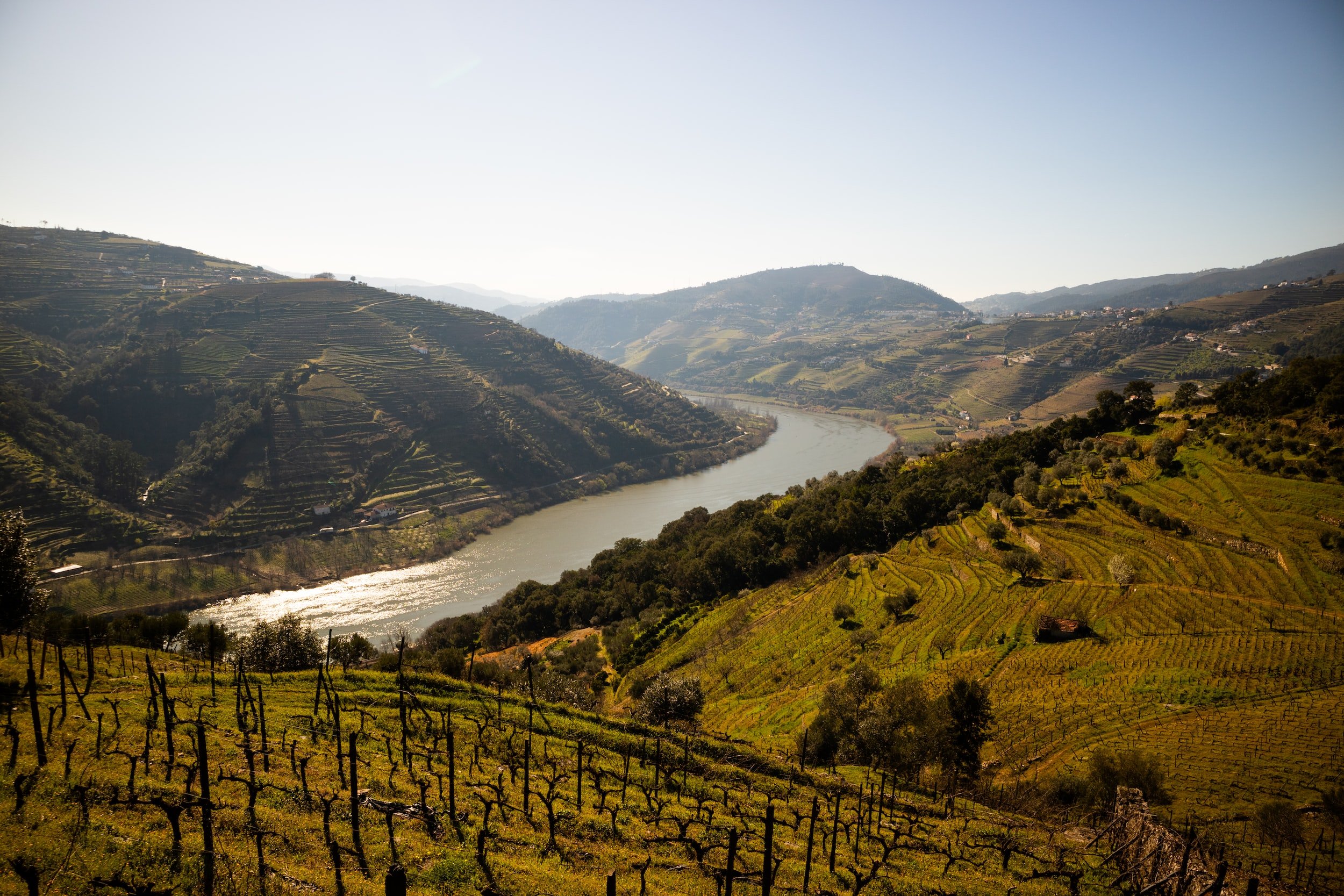 Discover the Douro valley and river in Portugal