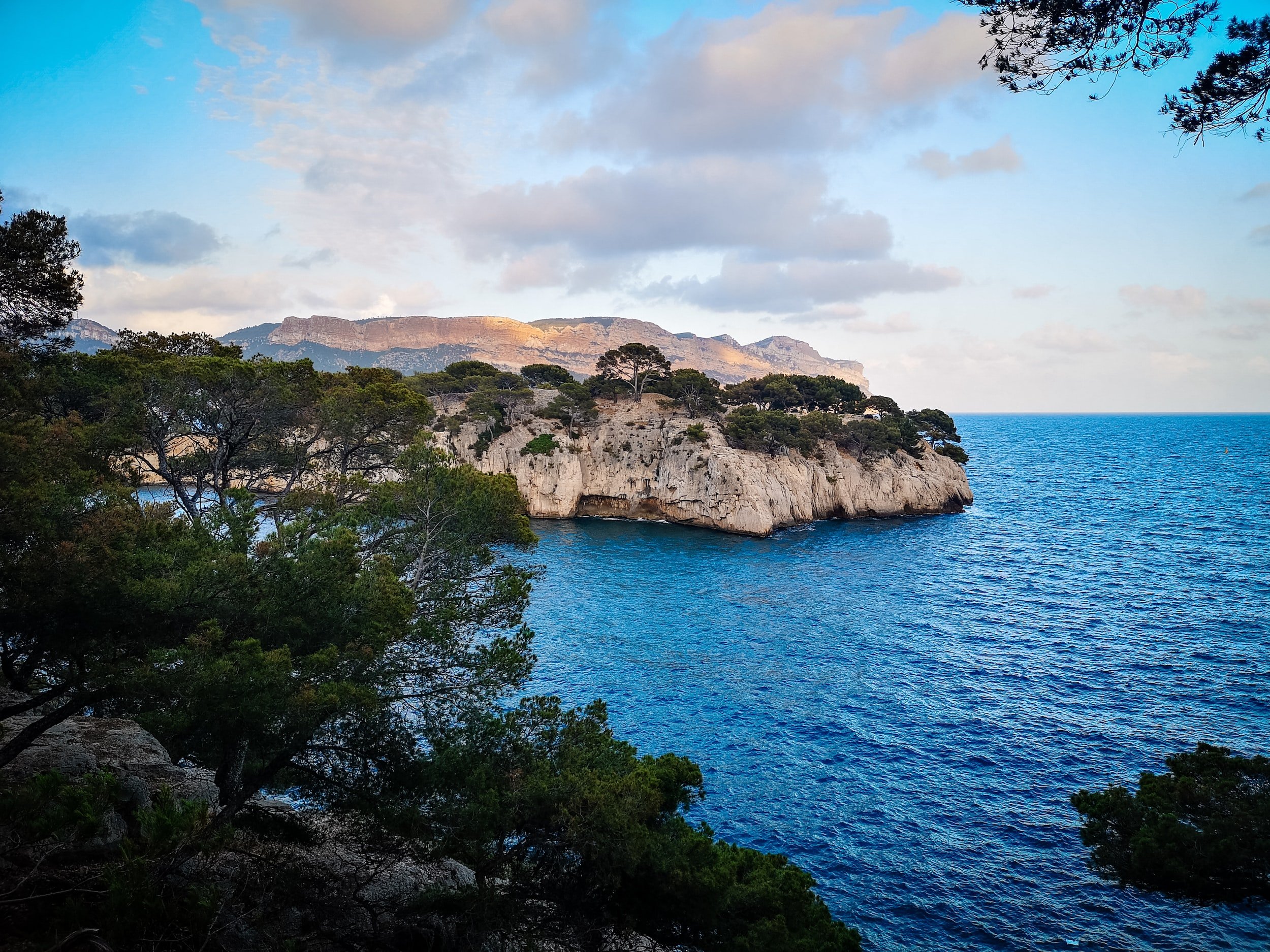 Discover the calanques of Cassis on the Côte d'Azur by boat