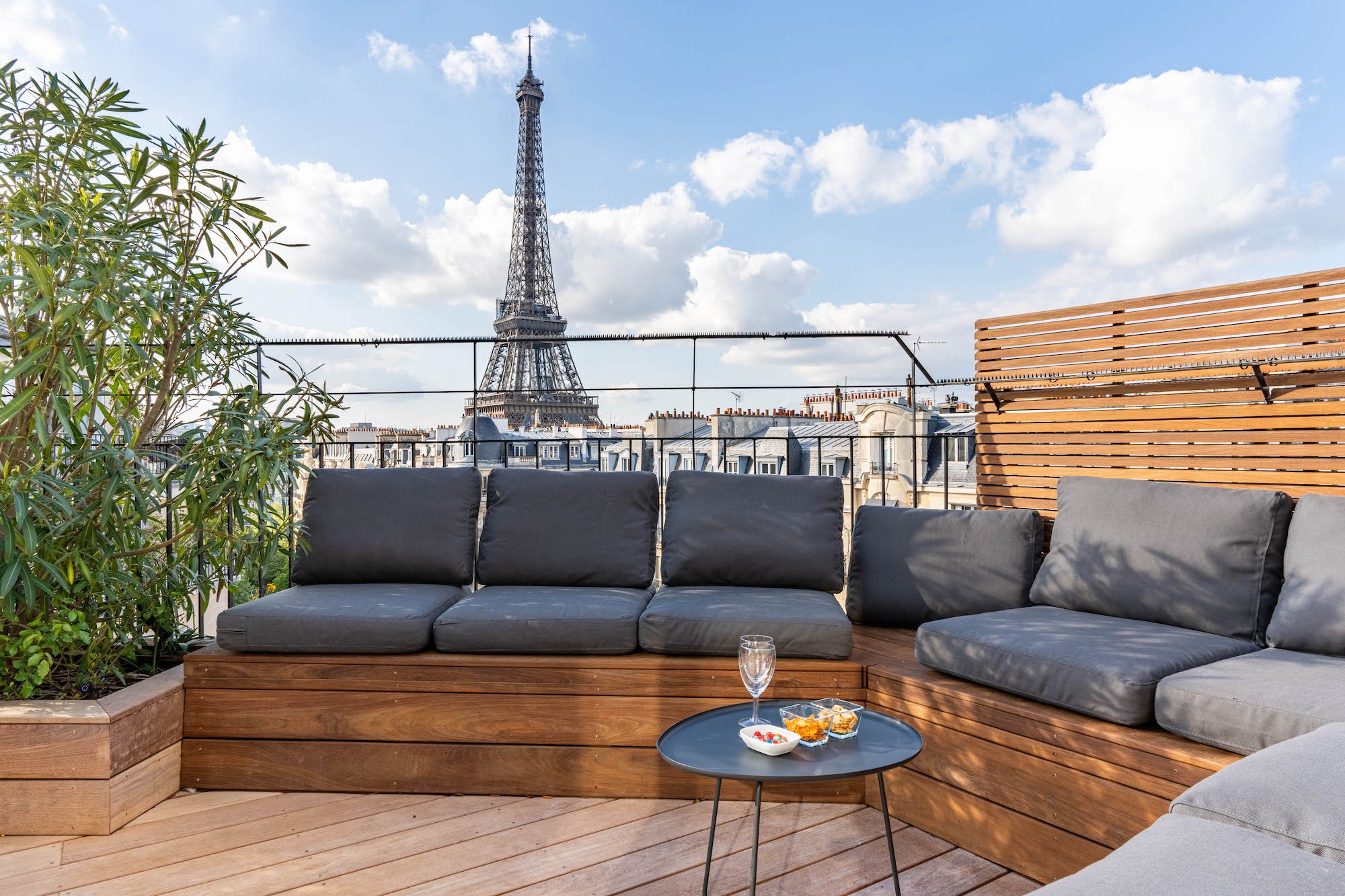Luxury apartment and rooftop overlooking the Eiffel Tower in Paris 