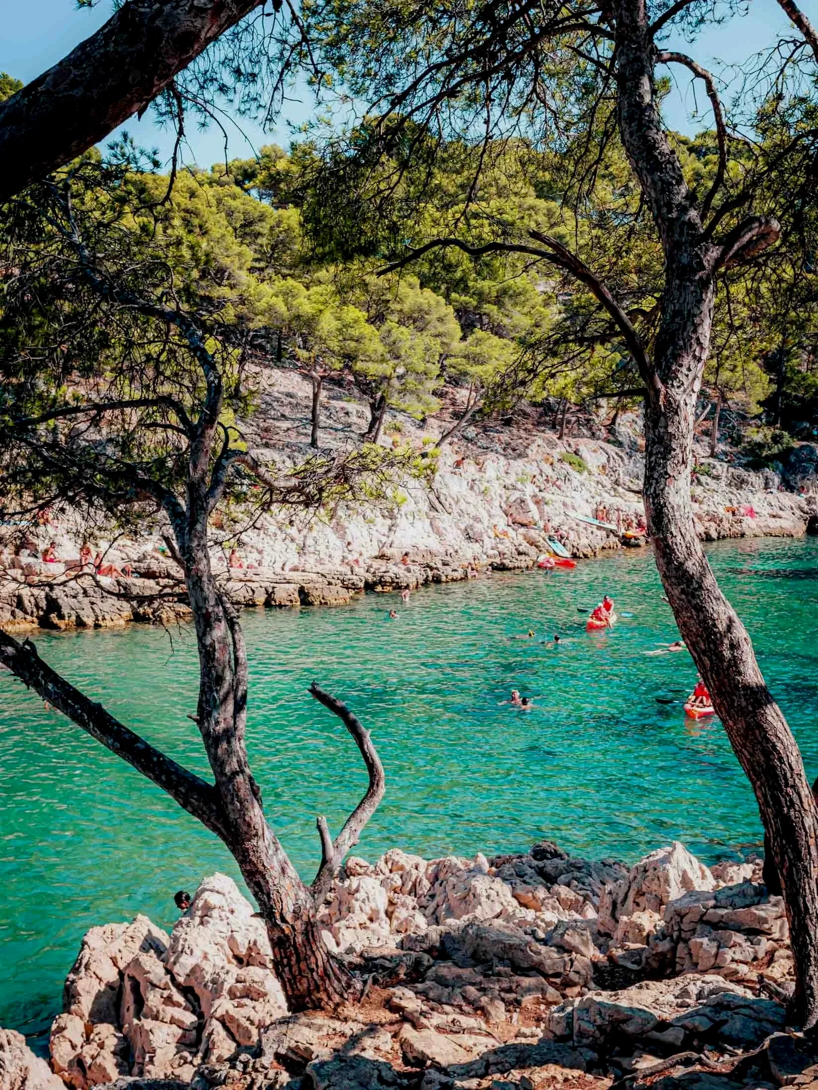 calanques marseilles