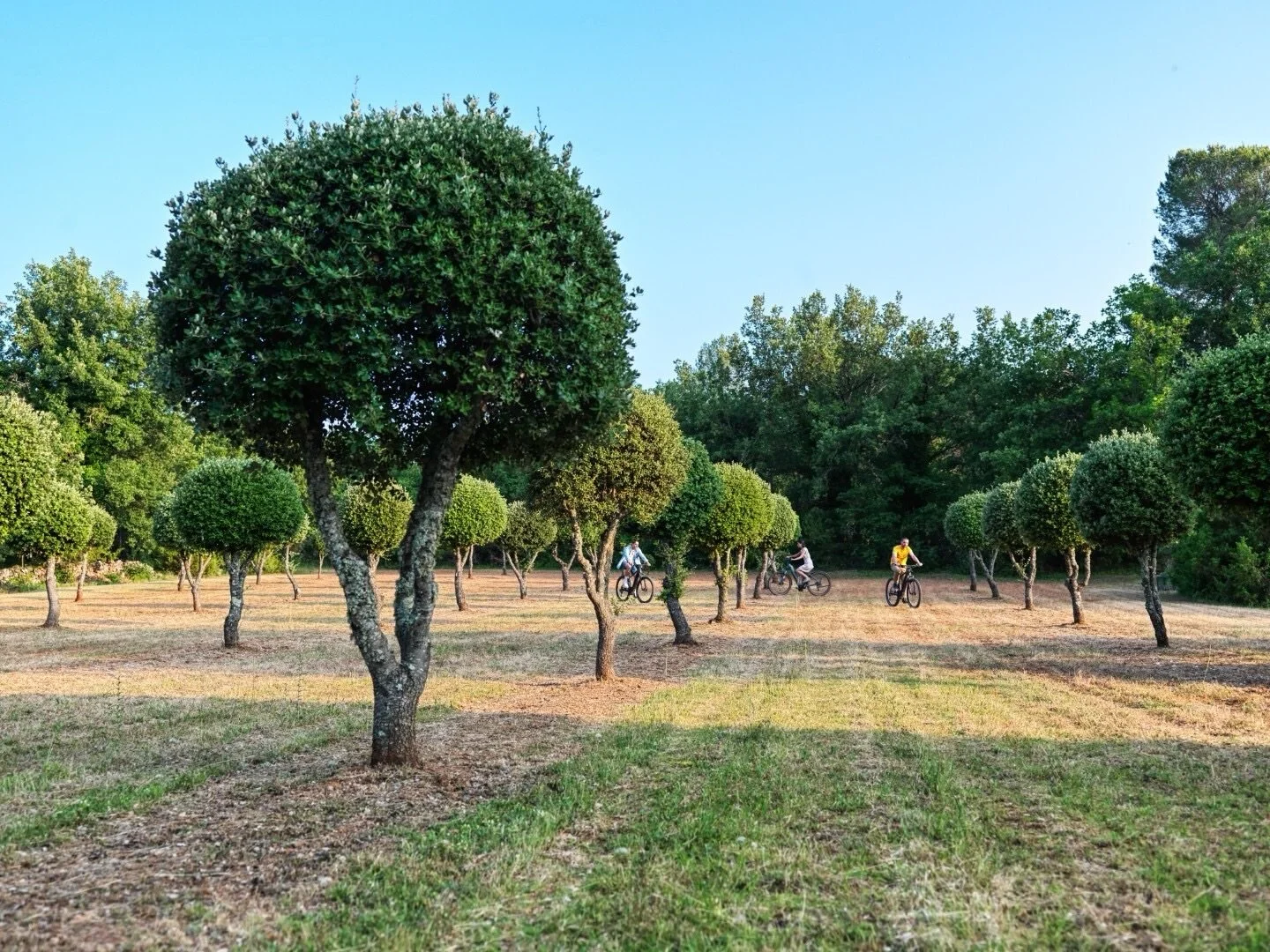 By bike, at the heart of our most beautiful estates 🚴&zwj;♂️

From vineyards to seaside landscapes and preserved forests, our properties offer unique settings to explore by bike. Whether independently or guided, enjoy routes tailored to your prefere