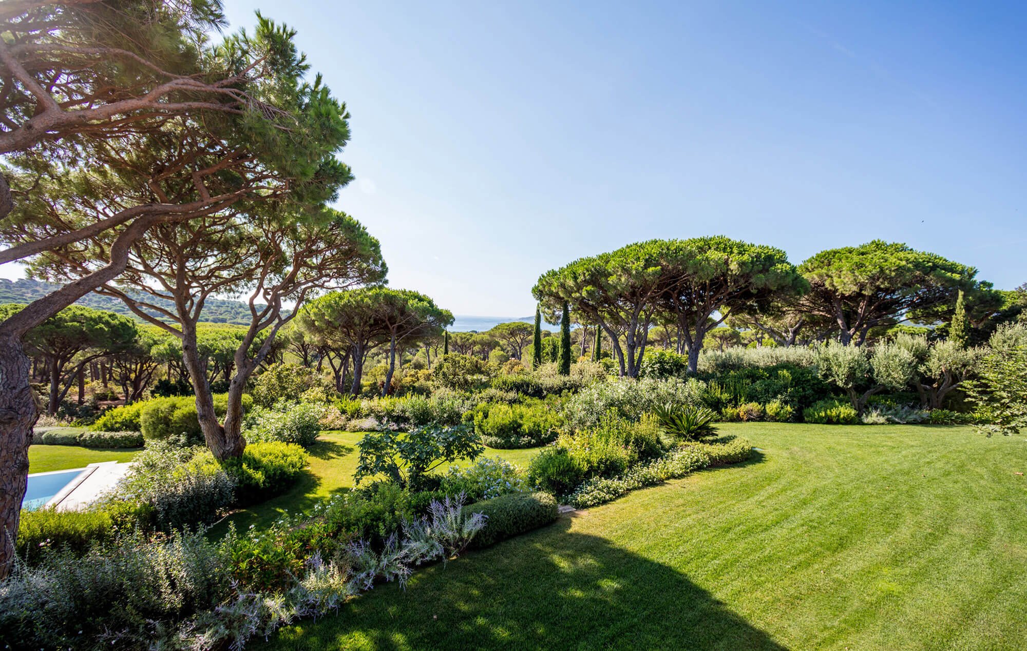 Exceptional villa among the pines in Saint-Tropez on the Mediterranean coast  