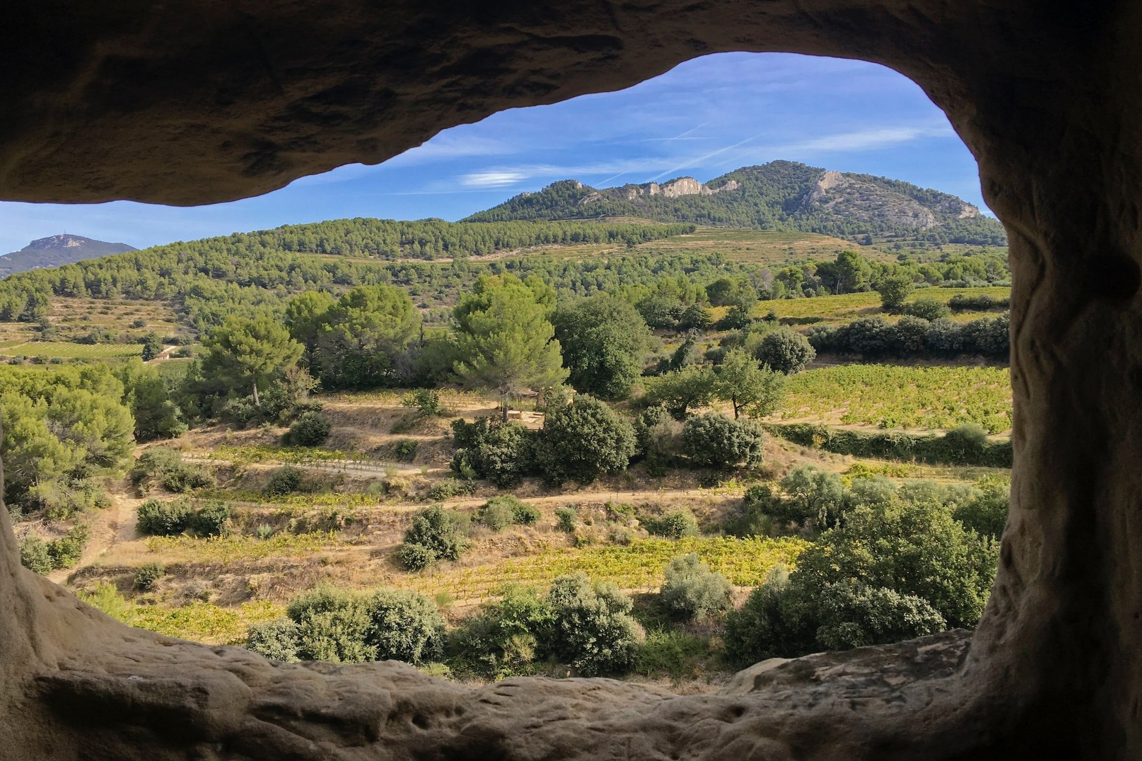 Hiking among the Luberon vineyards and mountains