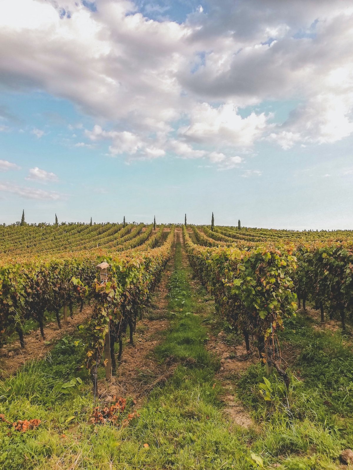 Discover the Bordeaux and Saint-Émilion wine estates