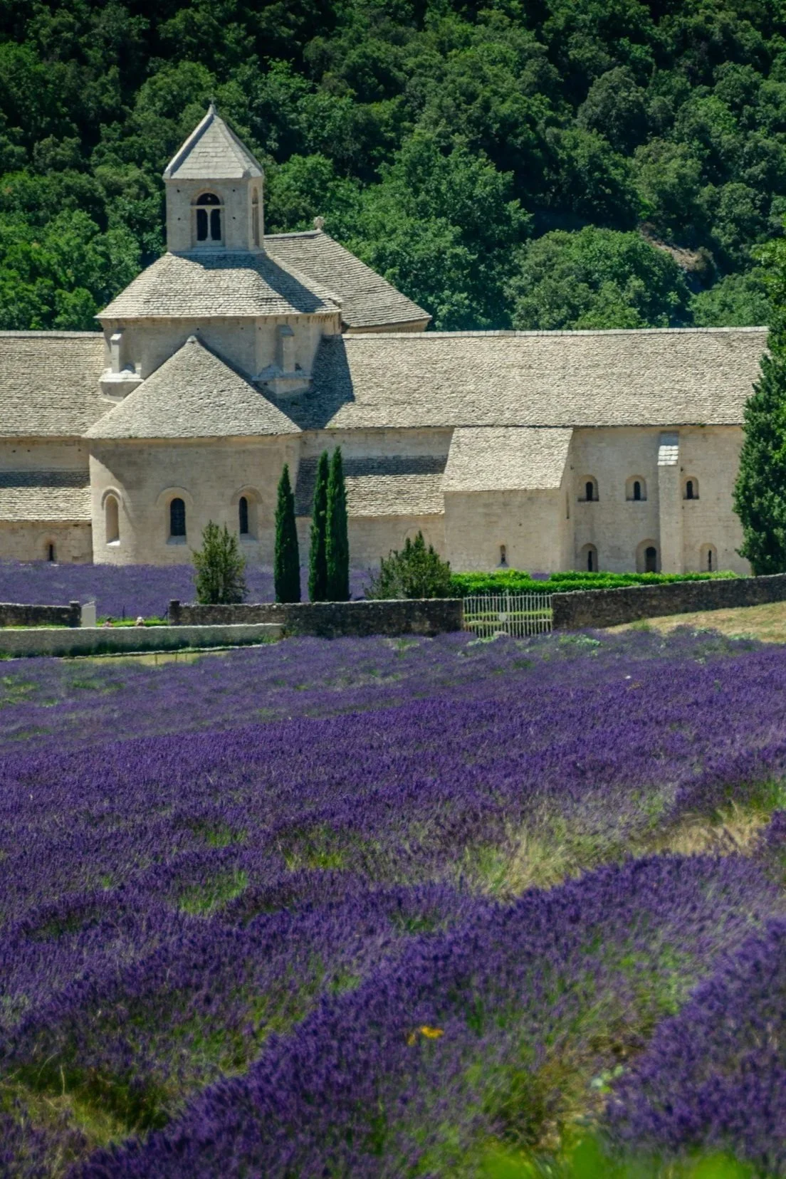 mas en provence location lavande