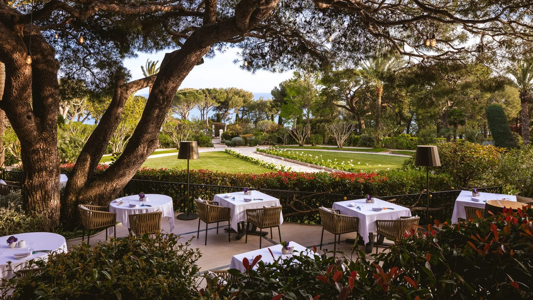 Les meilleures restaurants de la Côte d'Azur - Homanie