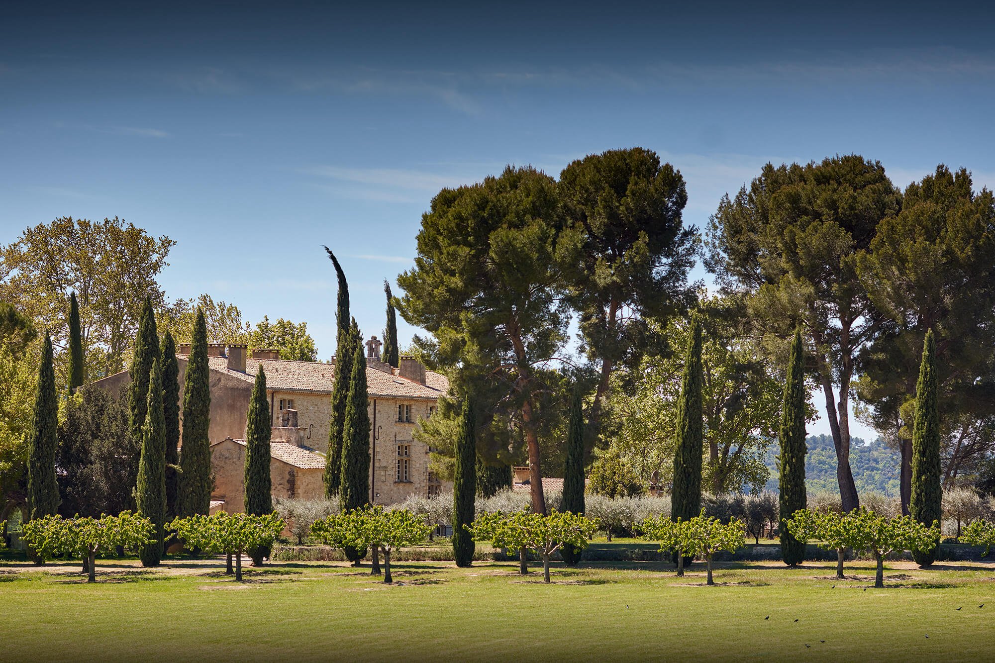 Prestigious chateau in the heart of a garden in Provence, to organize your corporate seminar 