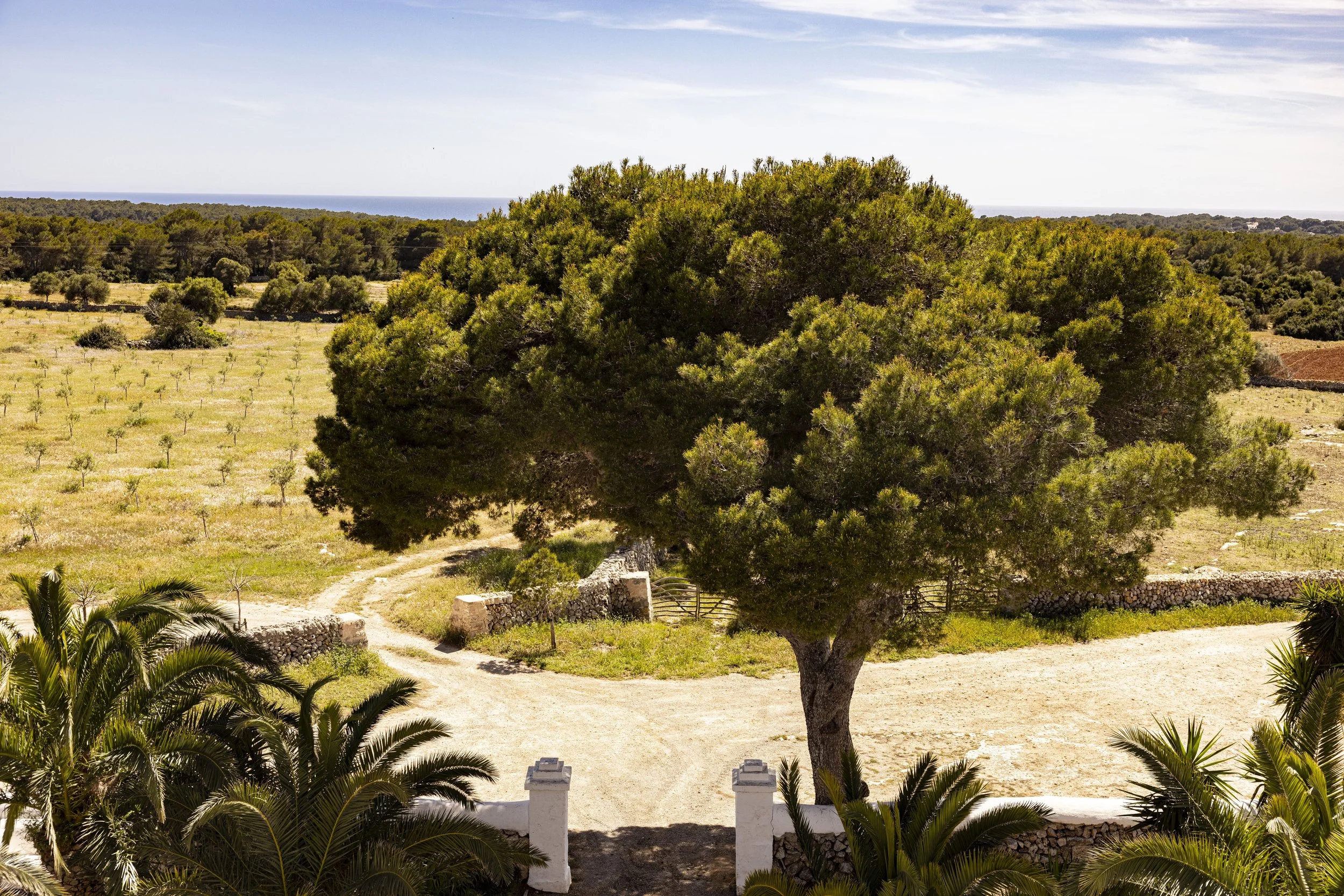 villa luxe minorque hacienda jardin