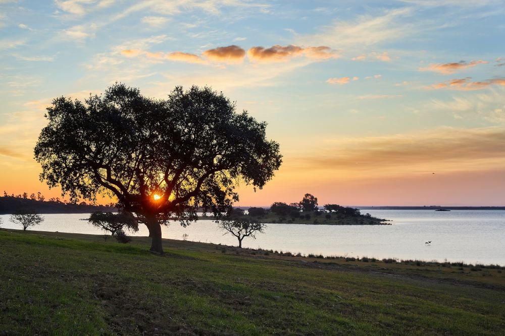 Waterfront luxury villa on Lake Alqueva in Portugal