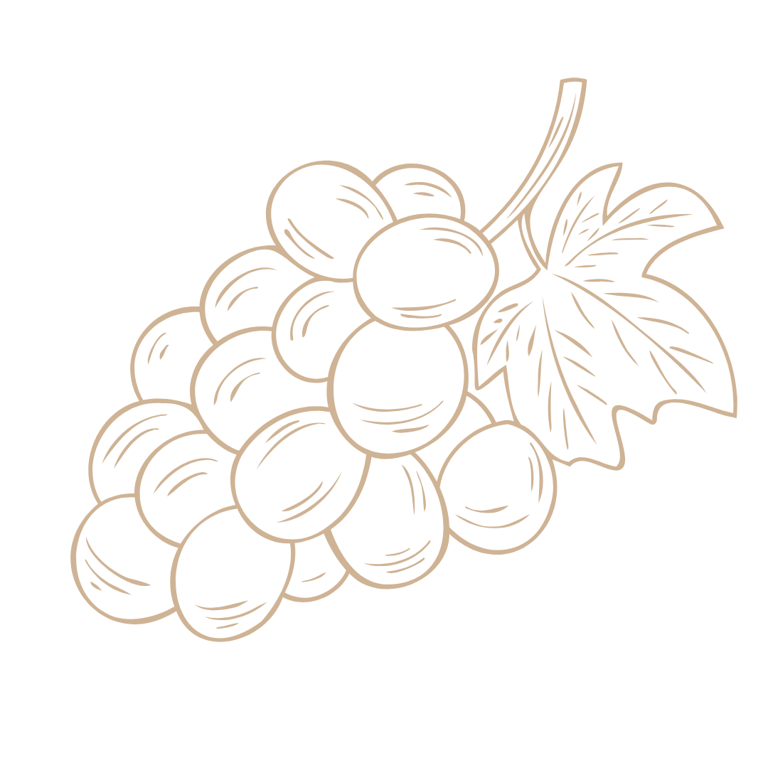 beaune chateau raisins