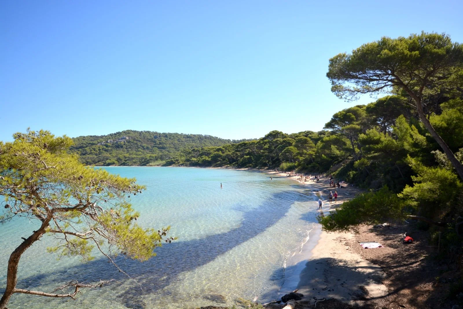 Excursion à porquerolles pour entreprise en séminaire dans le sud sur la Côte d'Azur