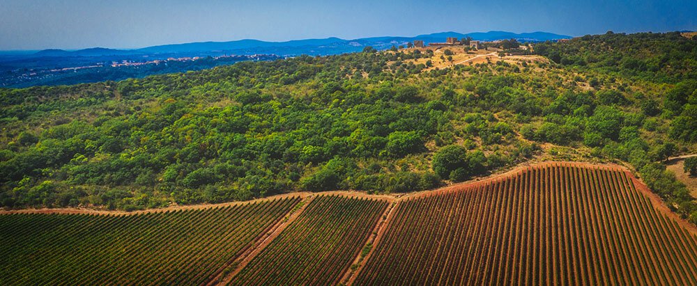 Luxury house in Grosseto, Italy in Tuscany with panoramic view of the vineyards