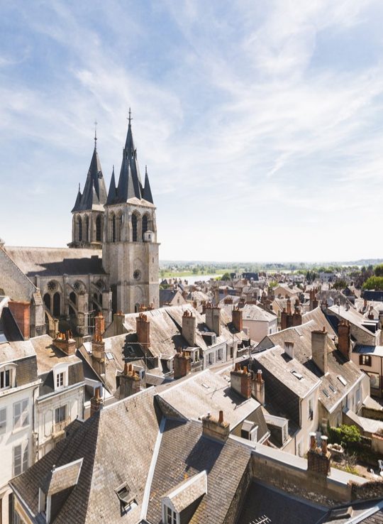 Visit Blois and the Loire castles for a seminar