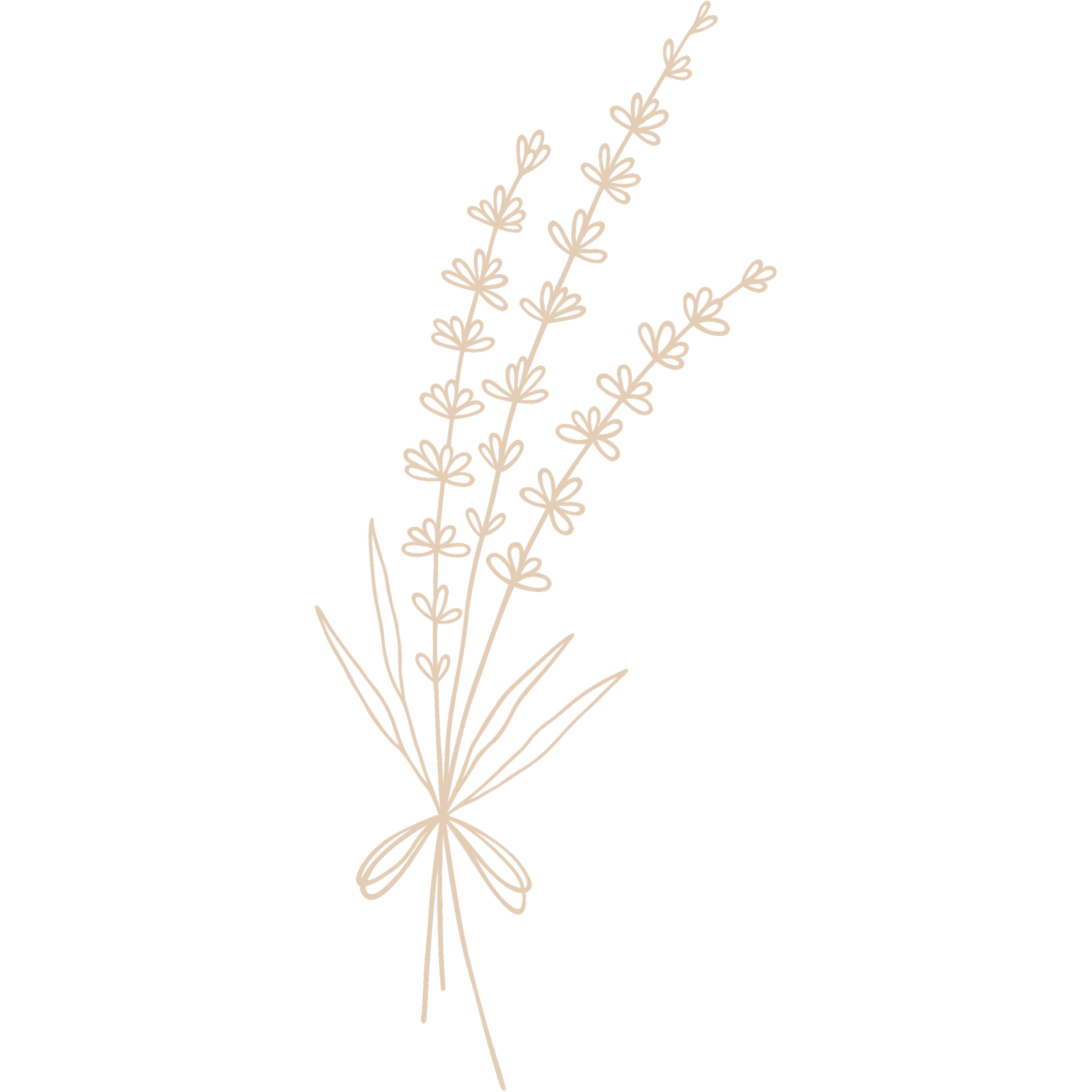 réunions familiales en Provence lavande