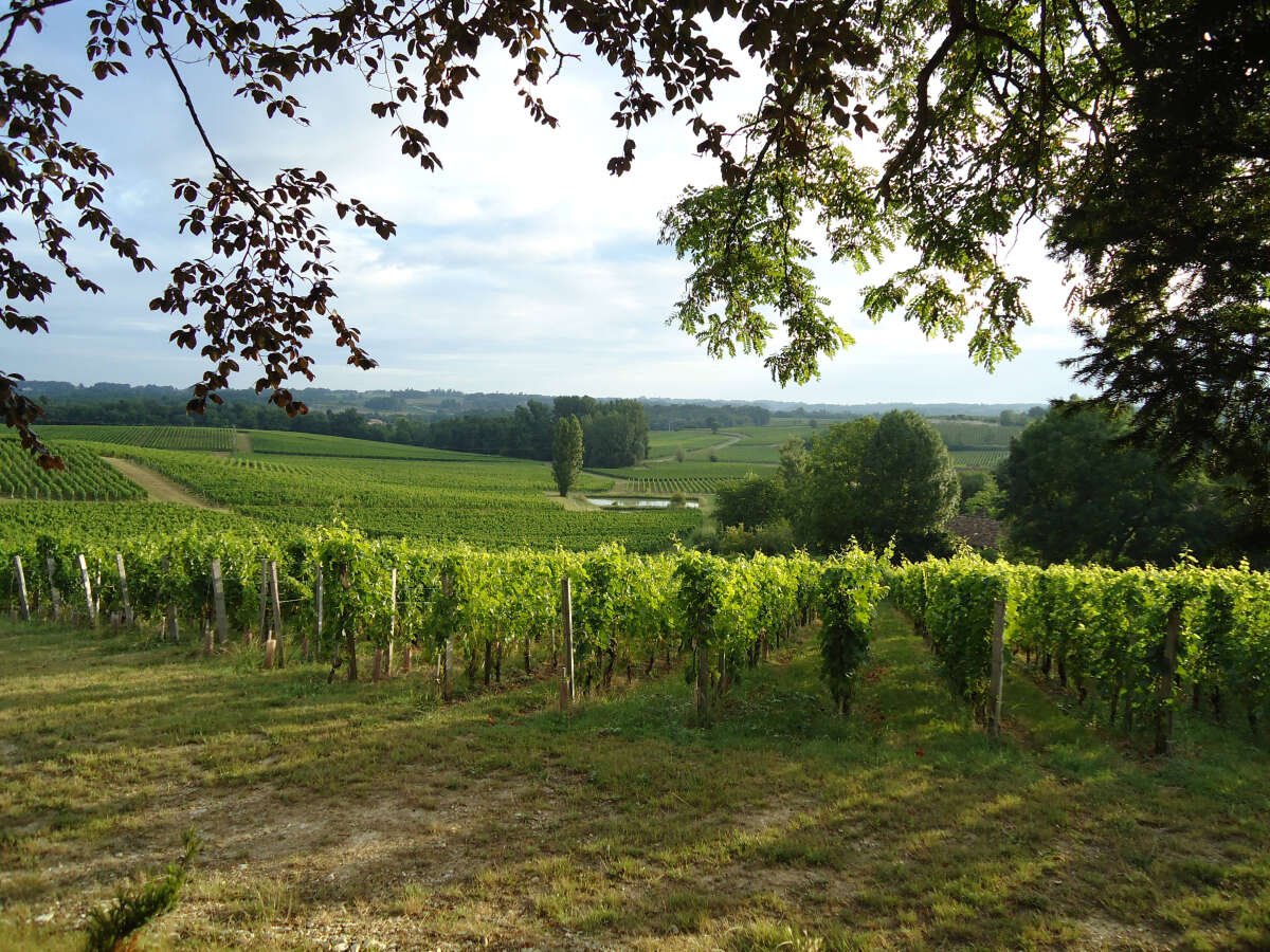 luxury domain in provence winery