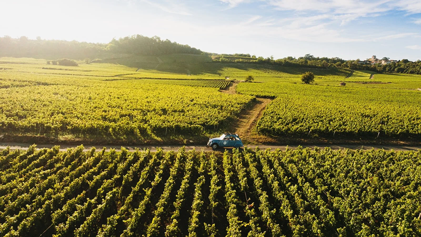 route des grands crus bourgogne