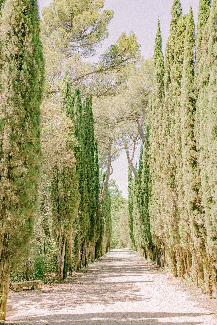 Exceptional château, near Avignon, in the heart of the cypress trees of a Provencal park 