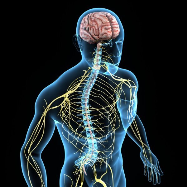 Autonomic Nervous System Dysfunction in Parkinson's Disease — NeuroLab 360