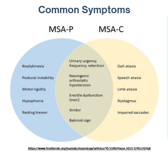 Understanding Multiple System Atrophy (MSA)