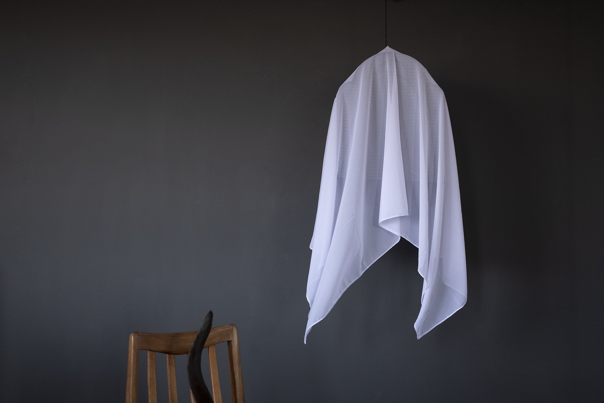The_veiled_birdcage .jpg
