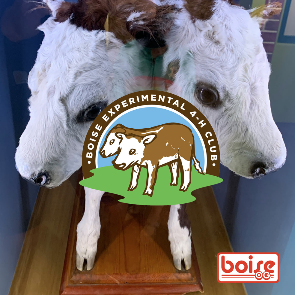 Boise Experimental 4-H Club