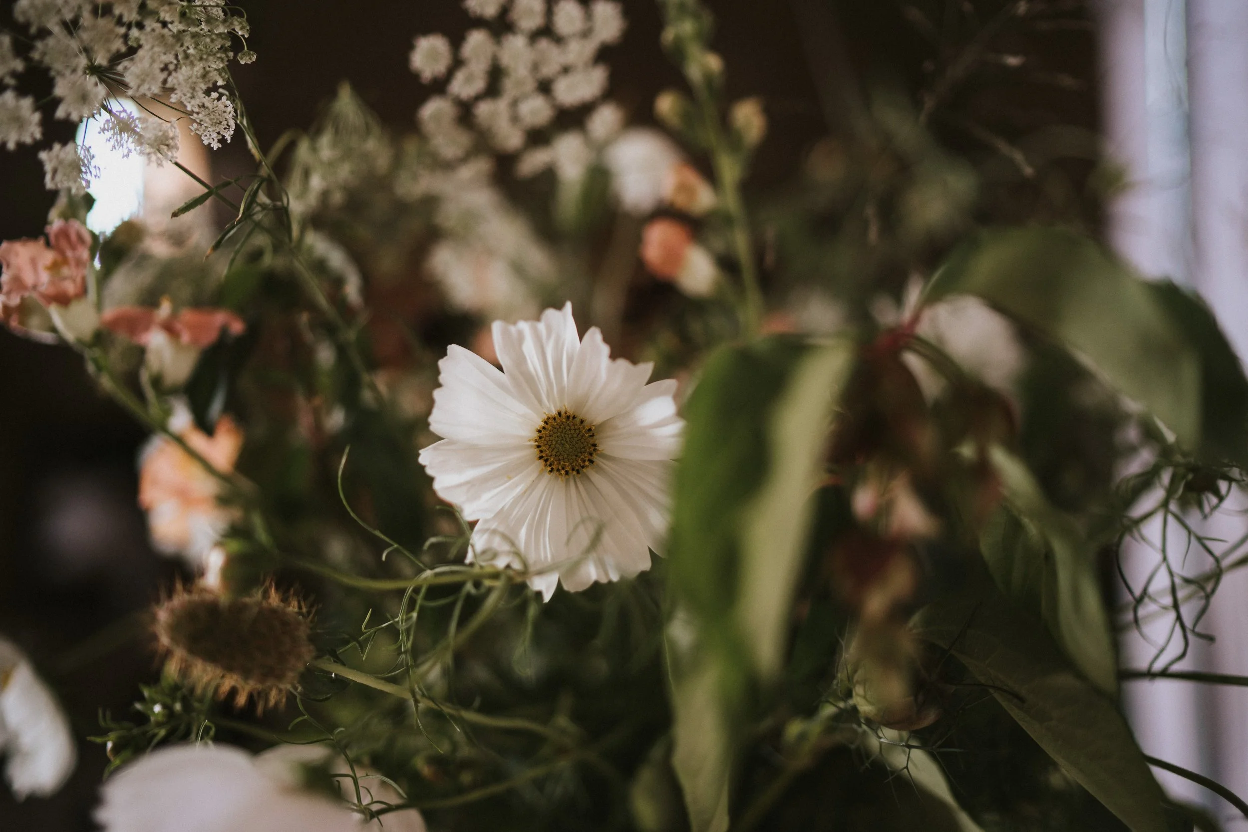 Cocointhecountry-0259.jpg