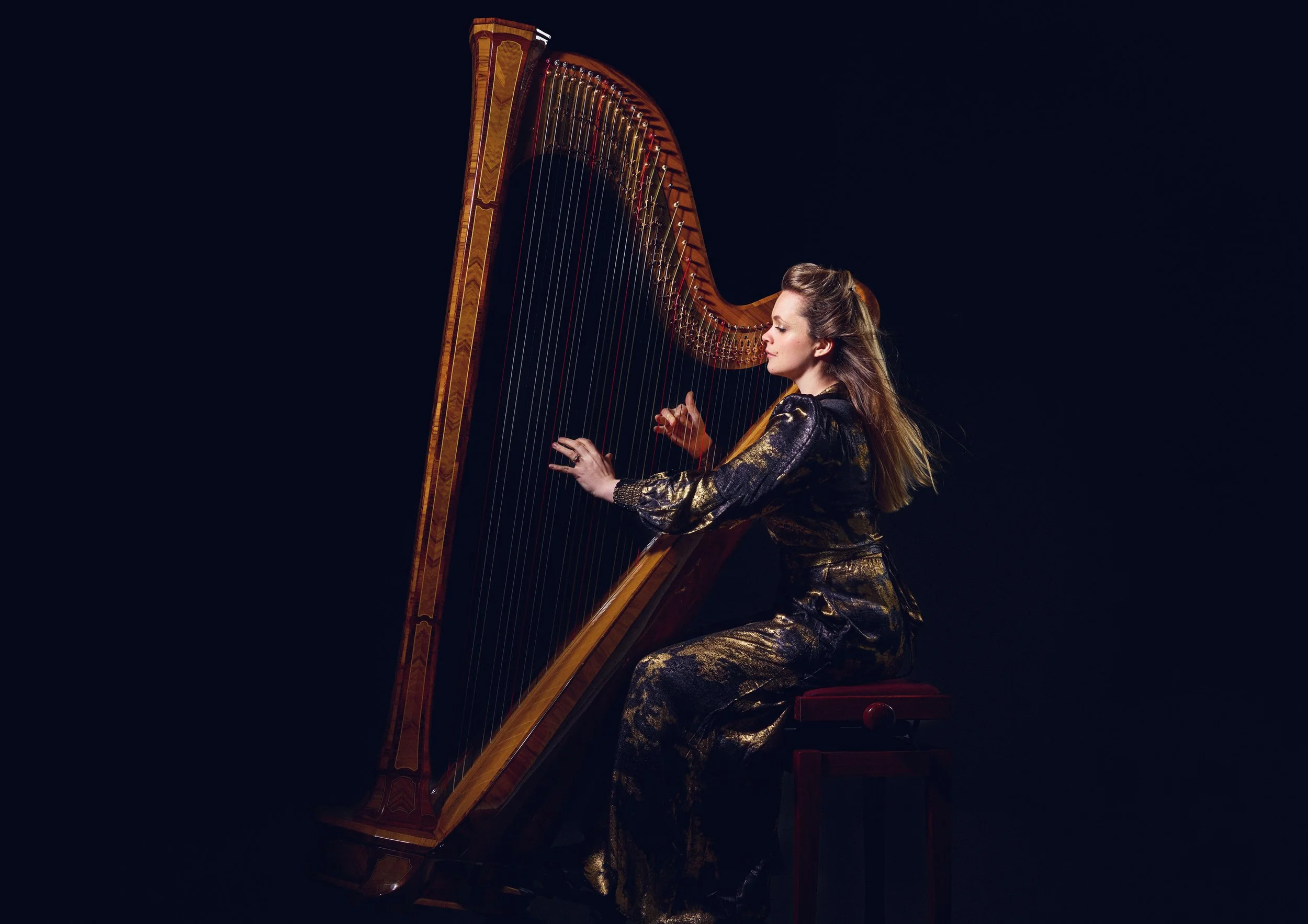 Lucy Harp 25030797238-B.jpg
