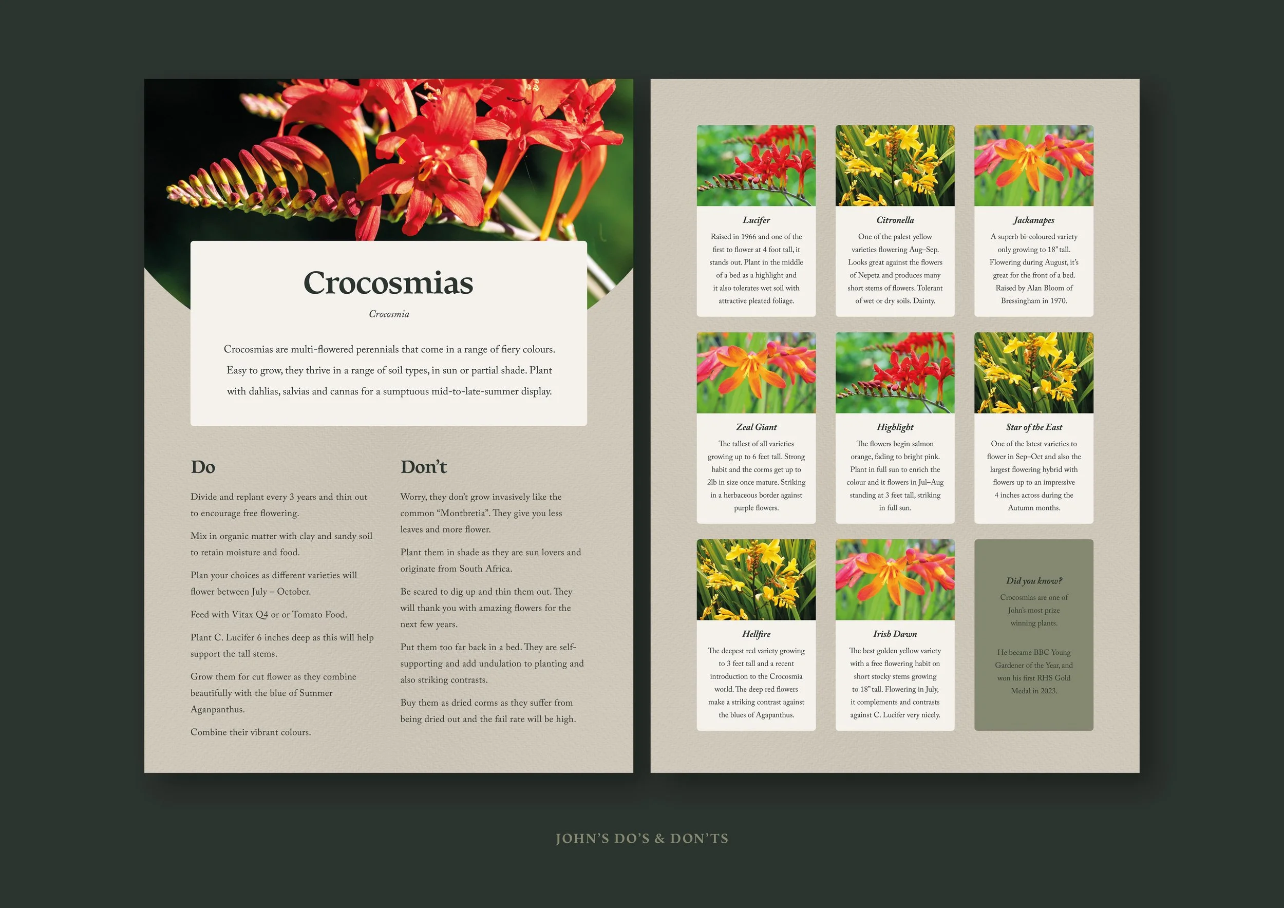 HoldenClough-Brand-Guidelines-48.jpg