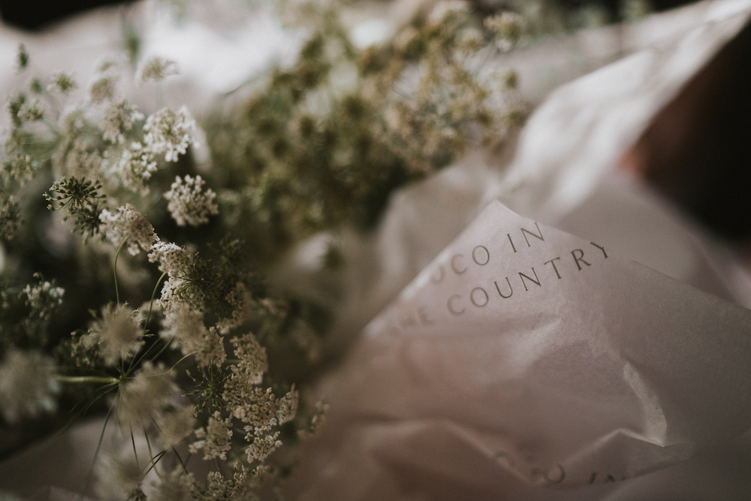 Cocointhecountry-0258.jpg