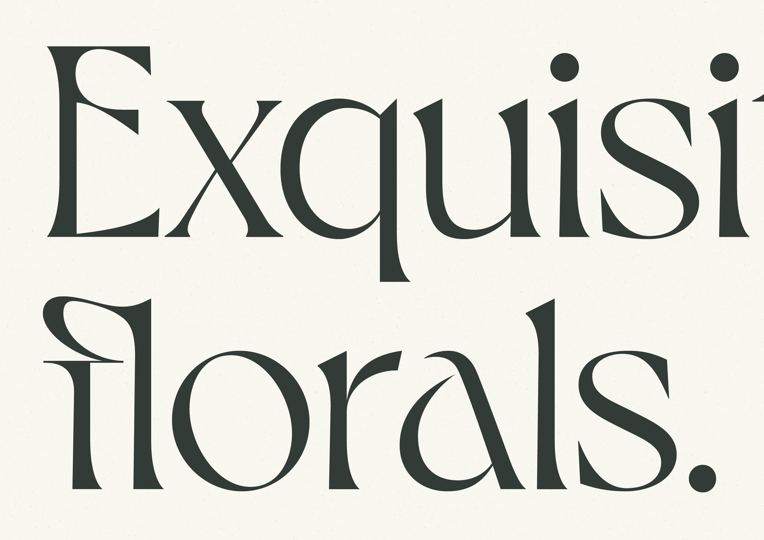 Decorative display typefaces are used in extremely small doses to bring a sense of elevation, gravitas and wildness to the brand, without ever feeling ostentatious or in-your-face.