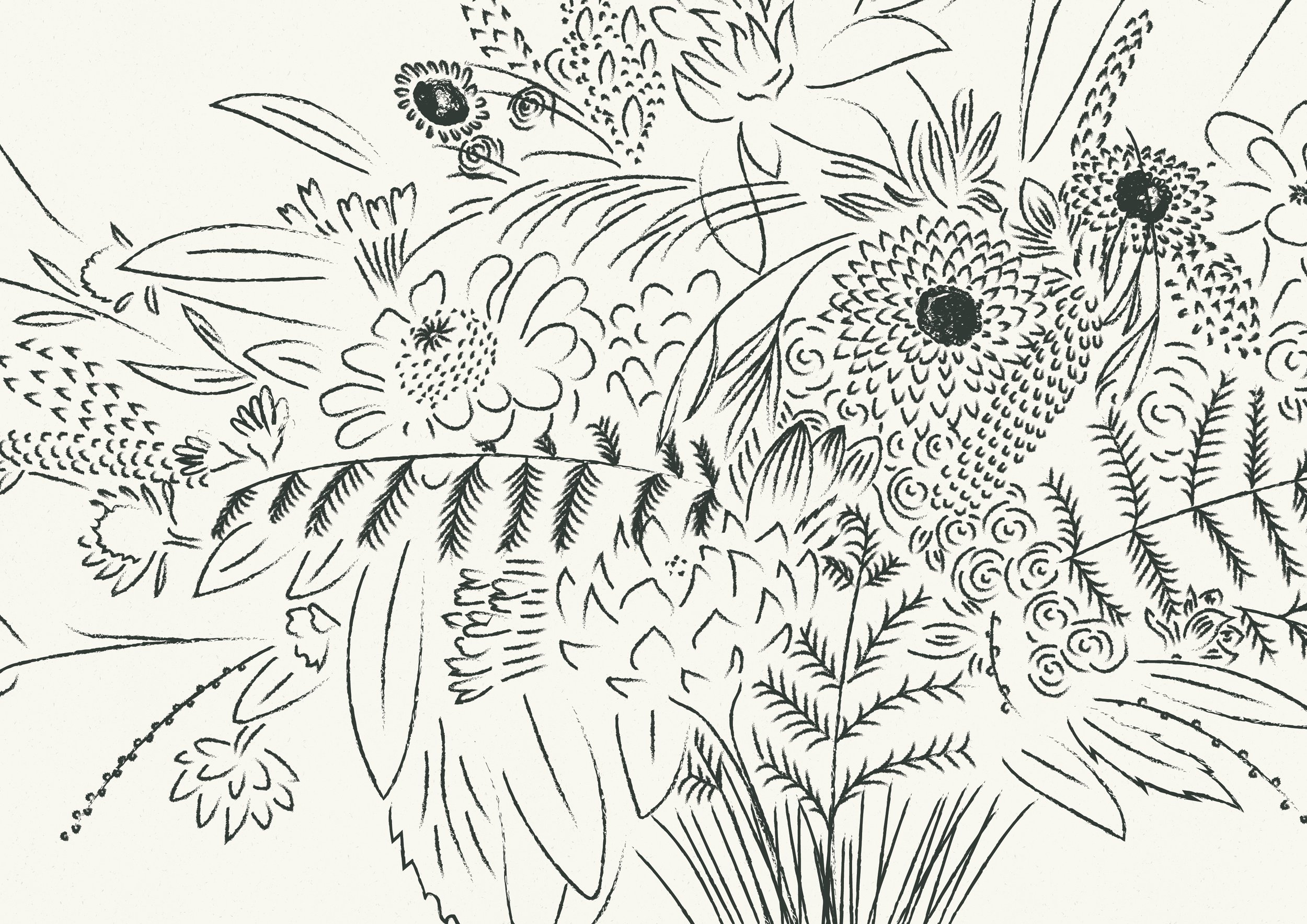 Designed in collaboration with Ellie Maguire (Joyful Creative), the bespoke brand illustrations were based on real Coco in the Country bouquets. Although digital and vector-based in reality (for ultimate versatility), pencil textures and brushes were