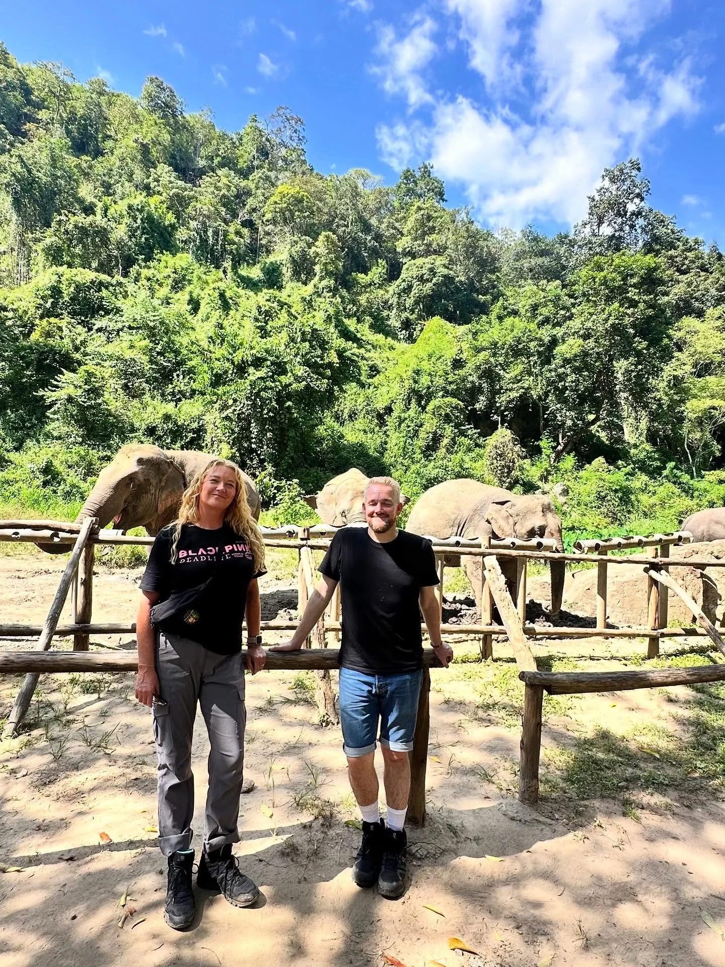 This is now a nature- and joy-only content account 🐘