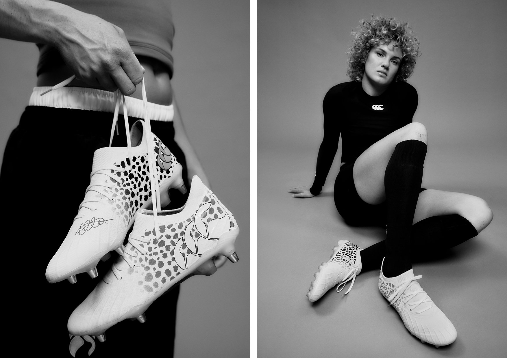 portfolio updates 2026x12.jpg