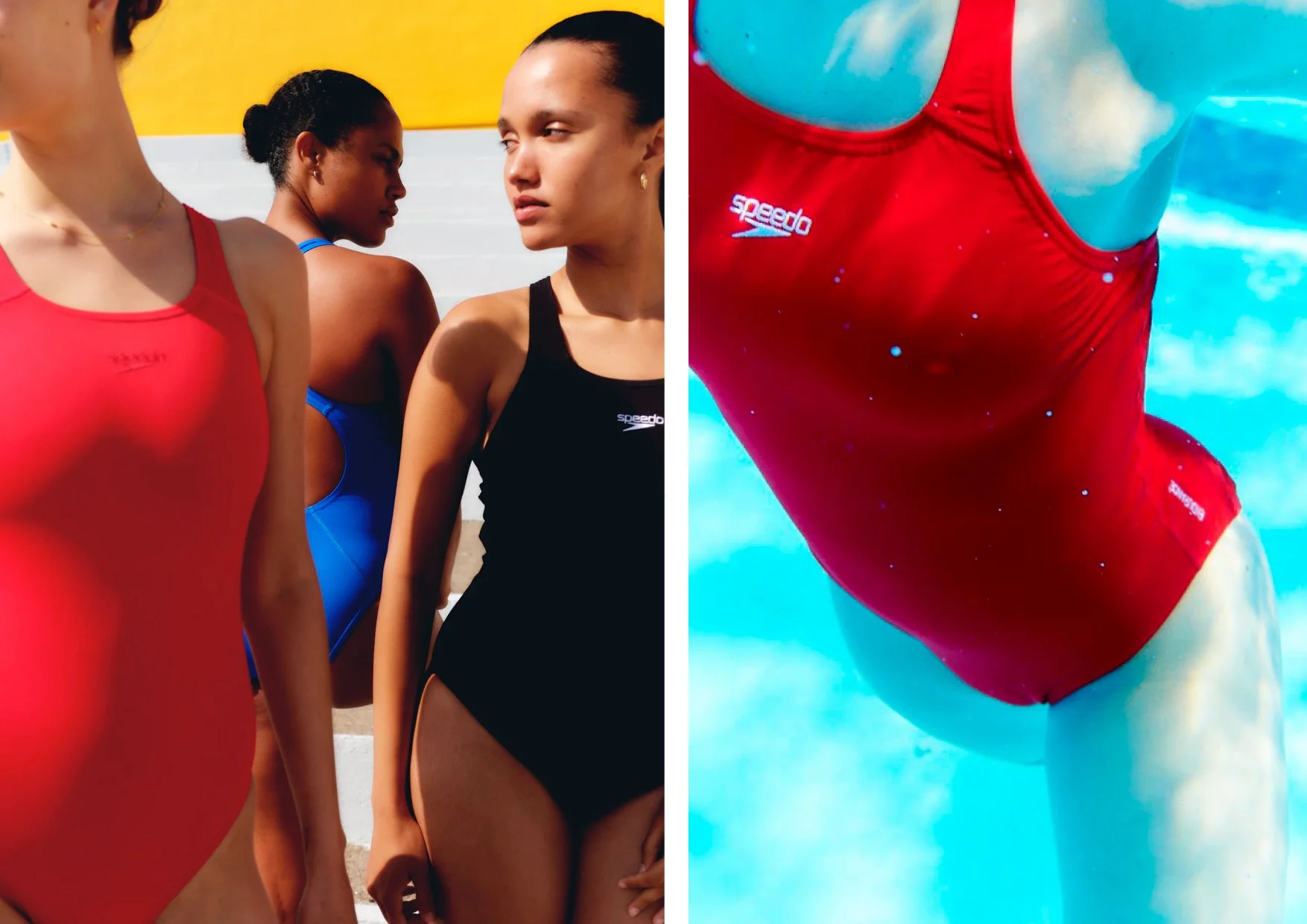 portfolio updates 2026x26.jpg