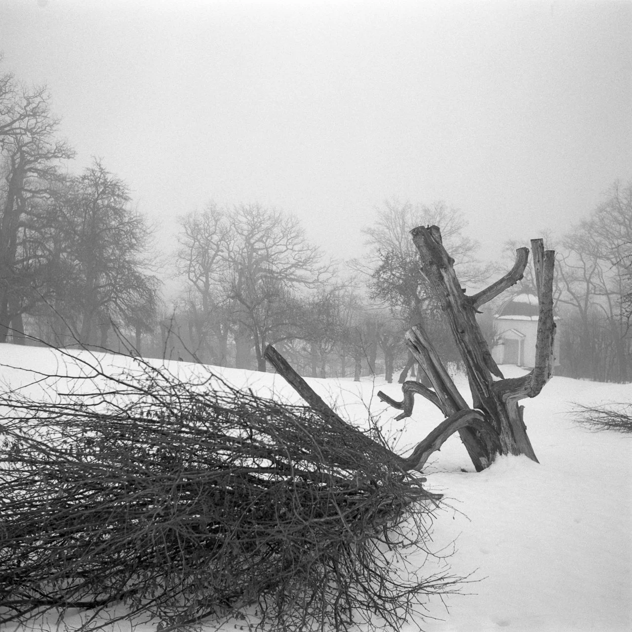 Winter’s Rest. The silence of Rød Herregård frozen on analog film; a dreaming dormancy of mist and snow.