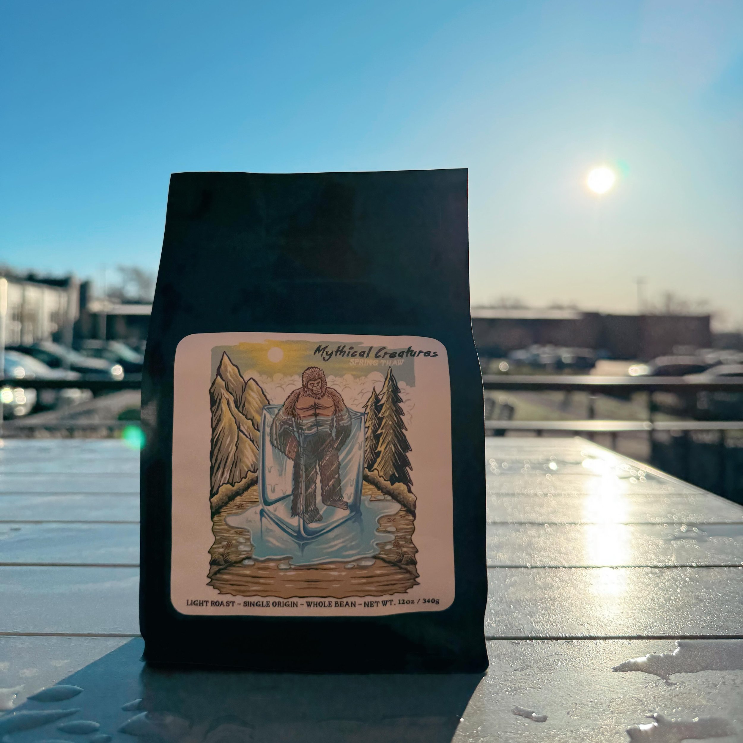 30s, 70s, 40s, 20s, 60s
☀️ ❄️ 🌧️ 
The western New York weather is predictable as NOTHING!

Ring in the Spring weather with our new single origin light roast.

Spring Thaw 
Origin : Ethiopia 
Farm : Limmu Kossa Estates 
Elevation : 1800-2200 MASL
Tas
