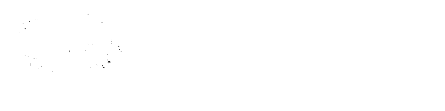 Sapp Design &amp; Engineering