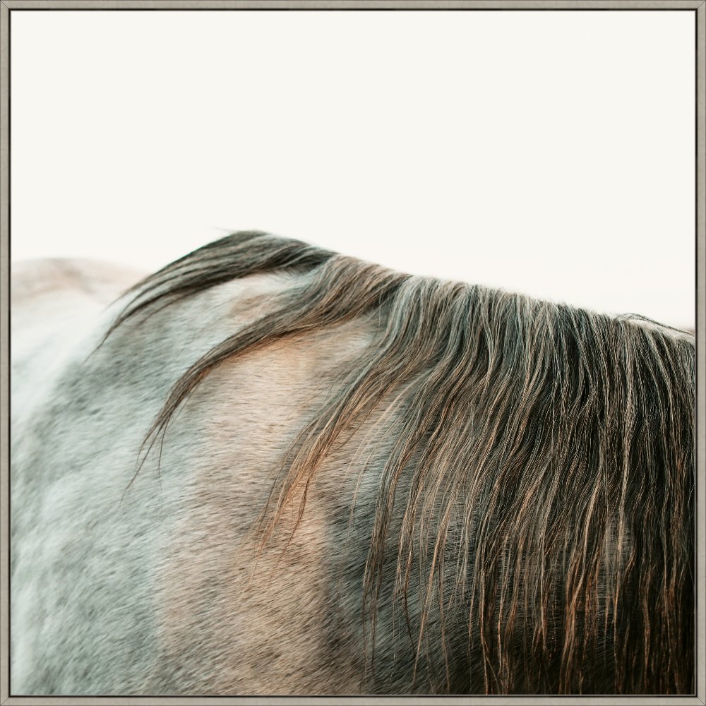 Graying | Slim Gray Frame