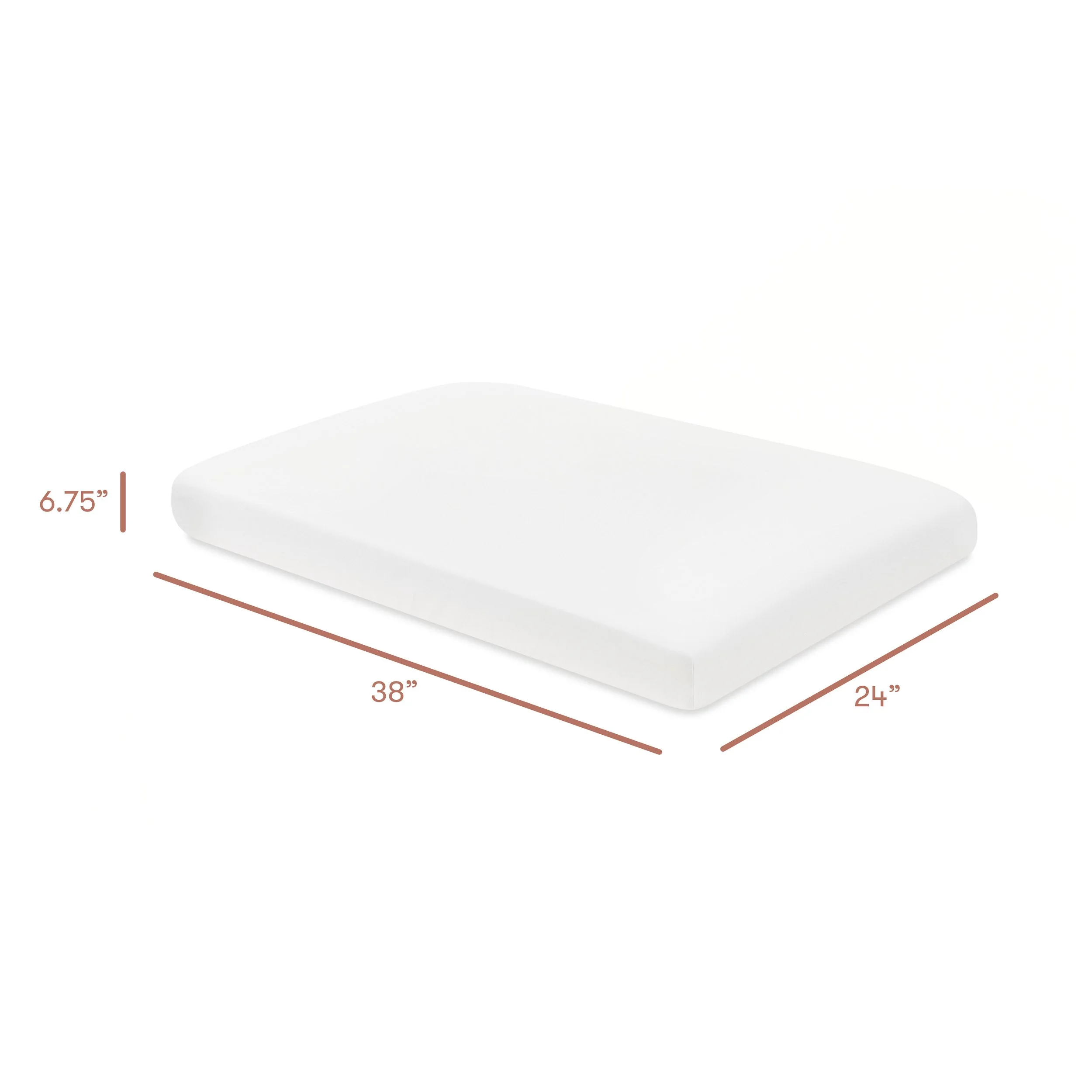 T32636BTW_dimensions.jpg