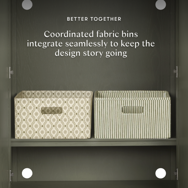 Astre Armoire in Archival Elm 06.png