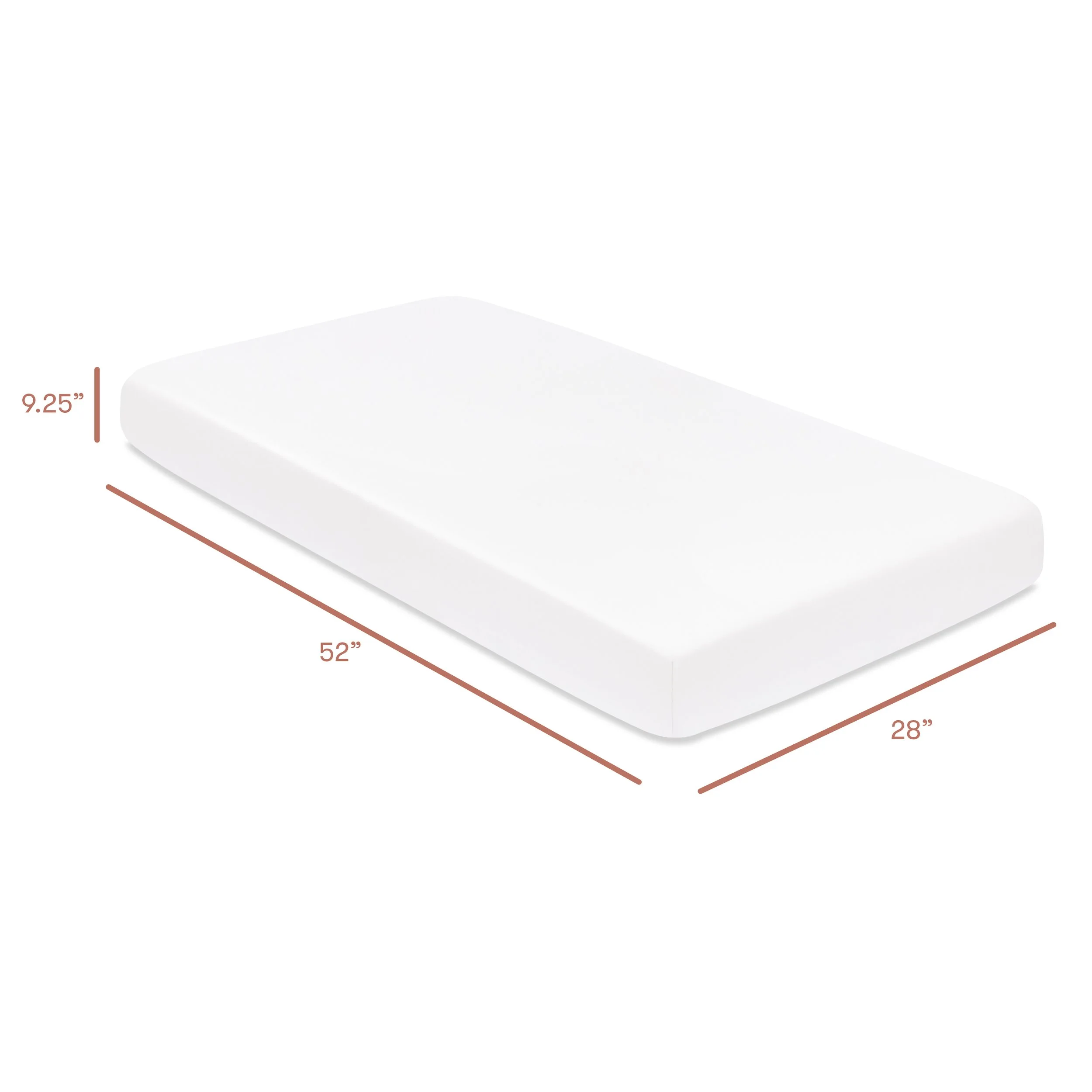 T32635BTW_dimensions.jpg