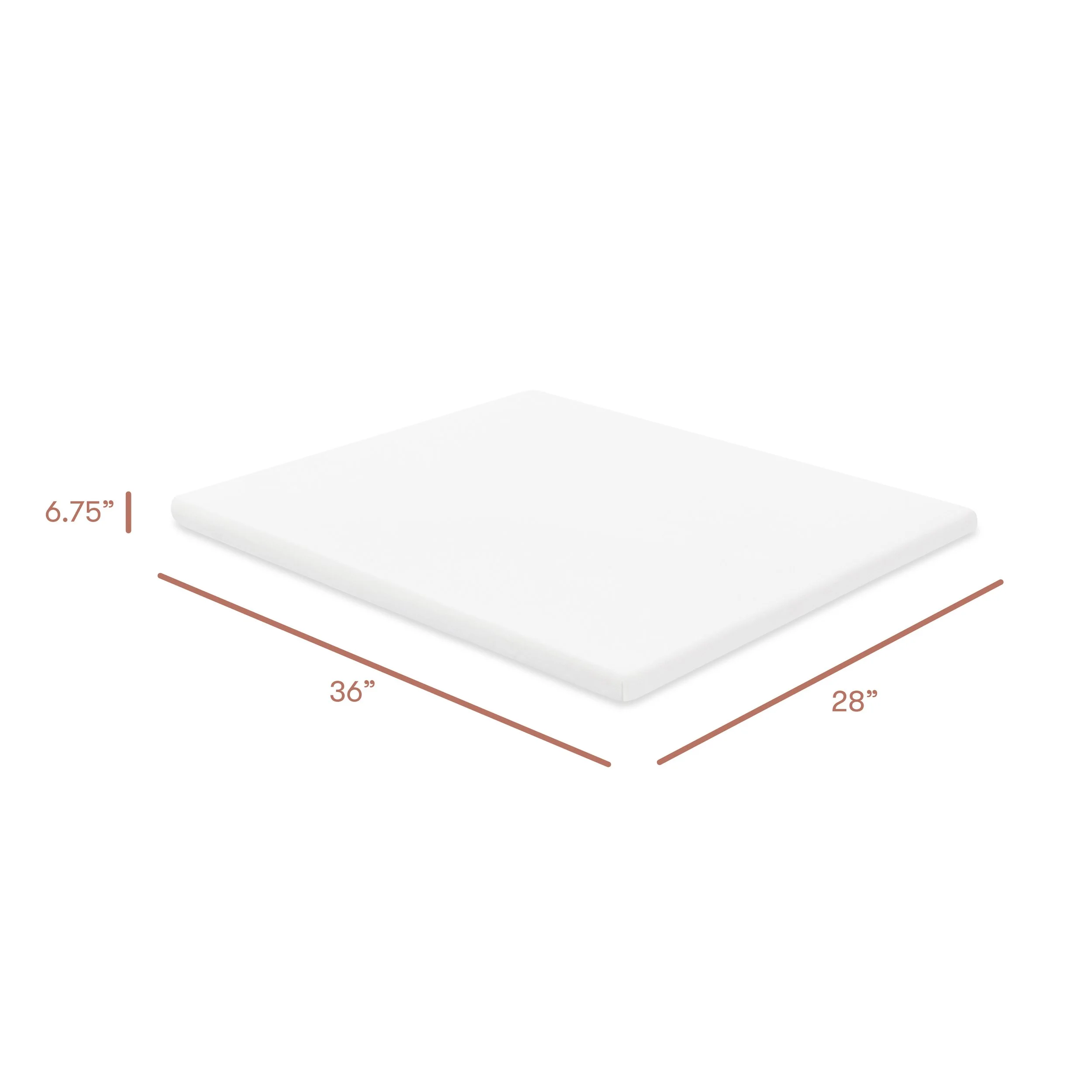 T32633BTW_dimensions.jpg