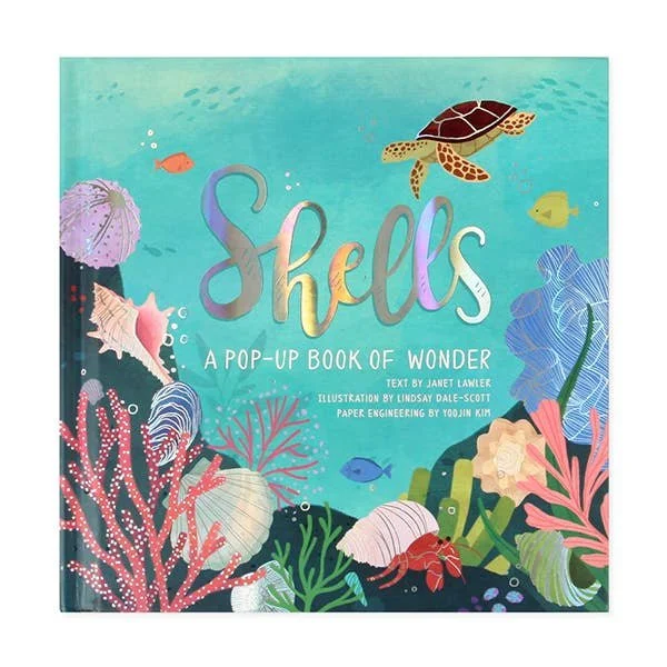 Shells | A Pop-Up Book of Wonder