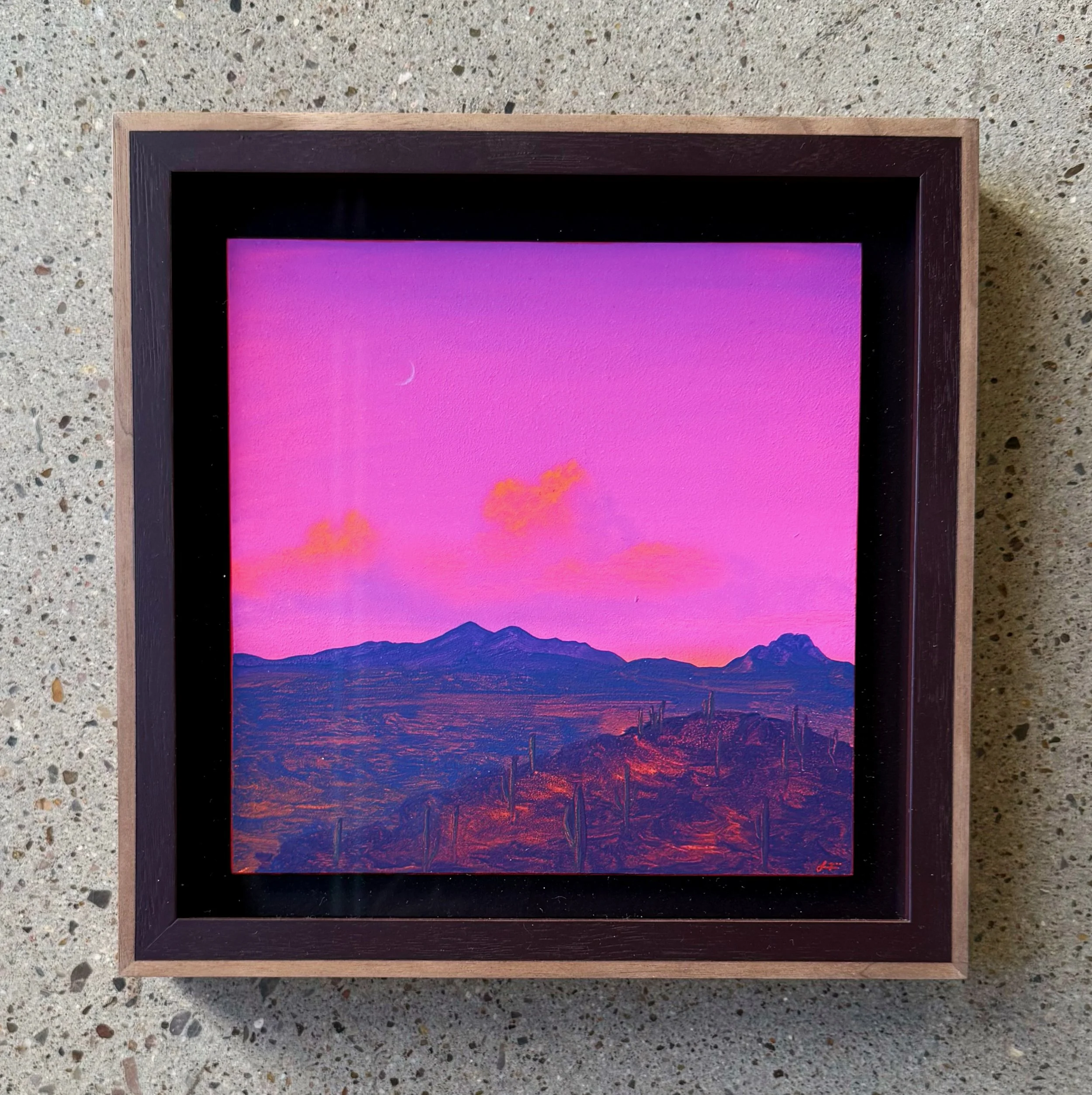 Saguaro Nat'l Park No. 11