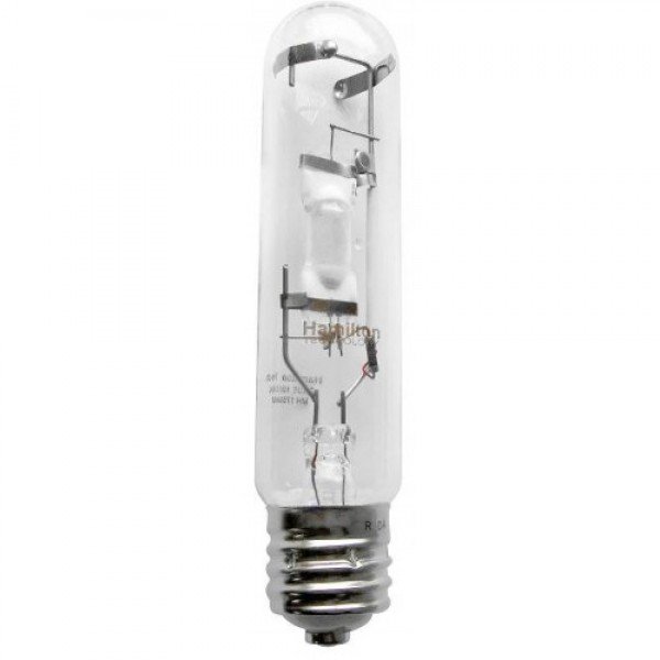 hamiltont mh E39 bulbs for web--600x600.jpg