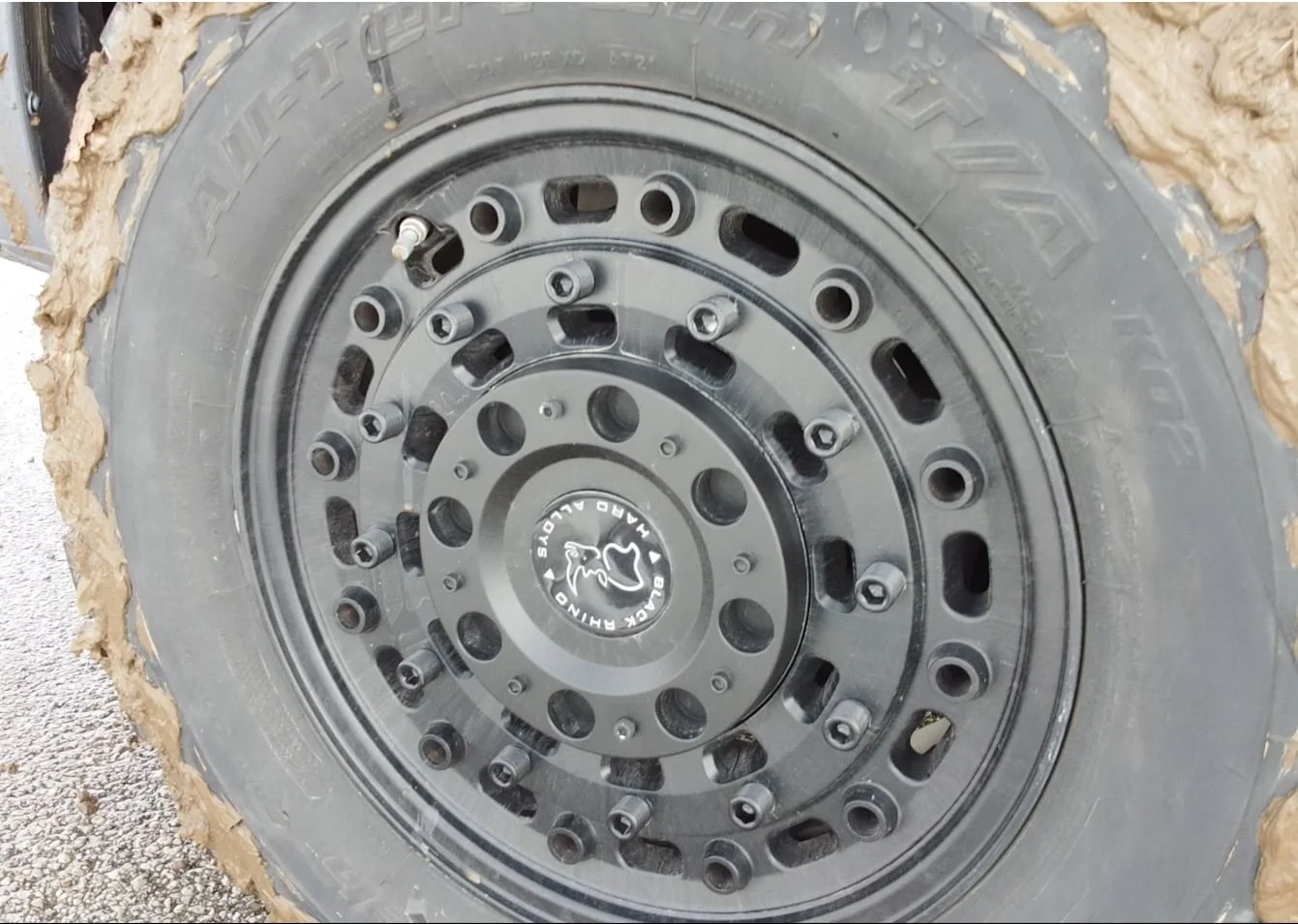 black rhino - Team Adventure USA.JPG