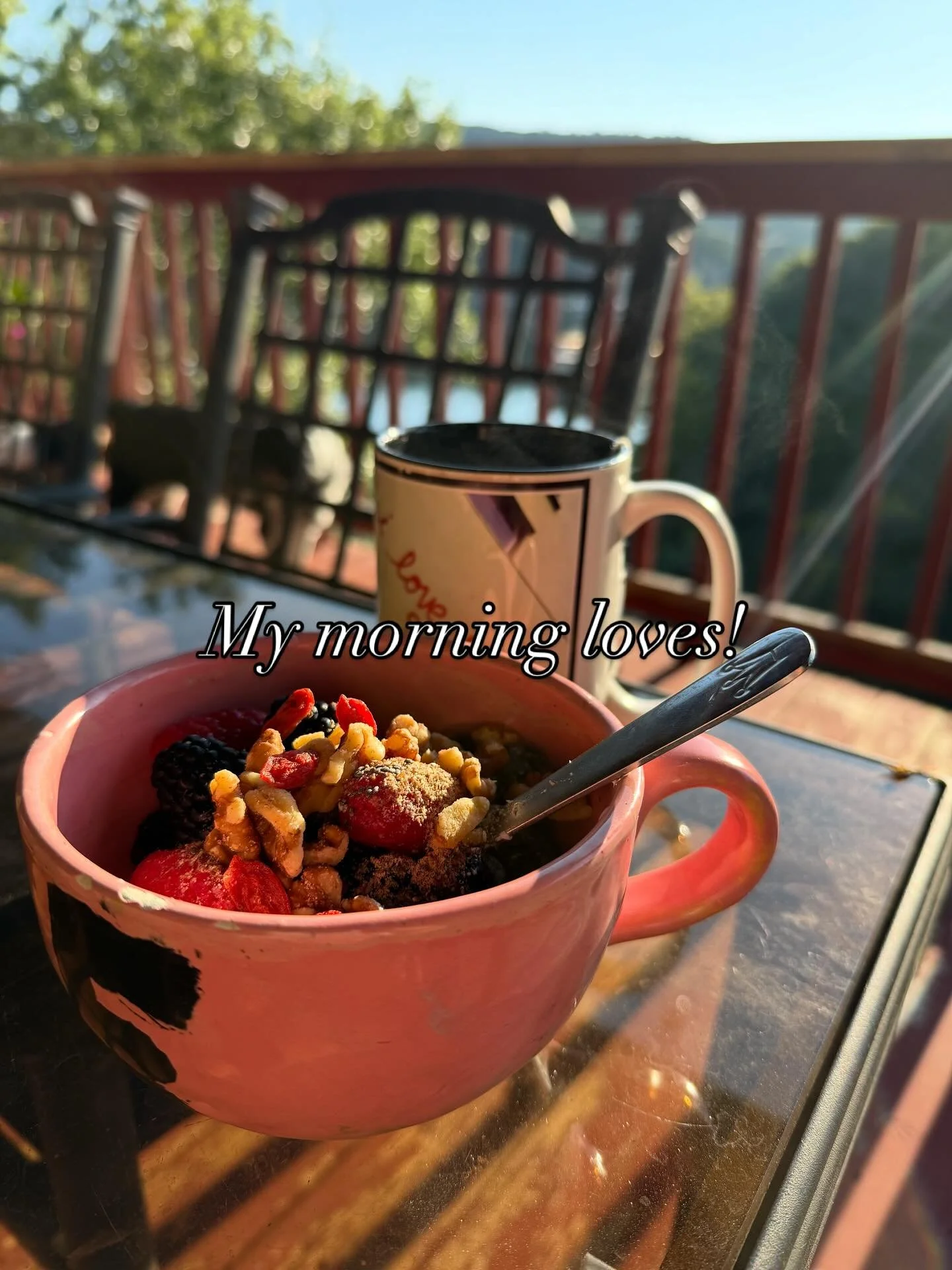 Grateful moments having a peaceful breakfast with my doggie overlooking the lake and hearing the birds chirp.  Here&rsquo;s to truly being!  #breakfast #laketravis #dairy #berries #walnuts #chiaseeds #flaxseed